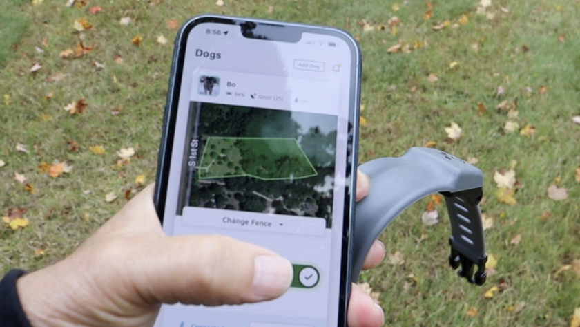 Using A GPS Dog Collar